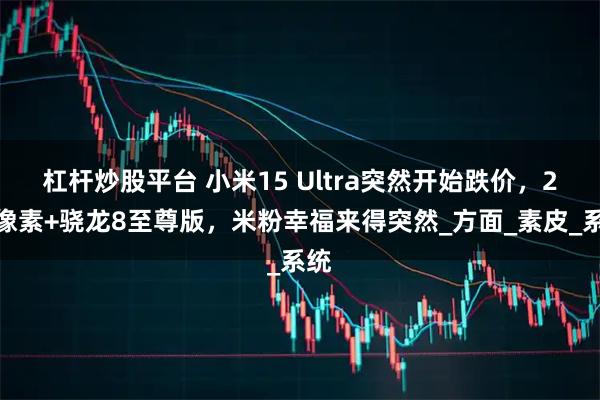 杠杆炒股平台 小米15 Ultra突然开始跌价，2亿像素+骁龙8至尊版，米粉幸福来得突然_方面_素皮_系统